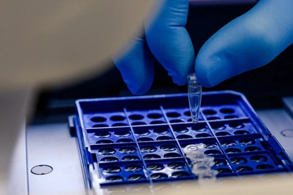 ტესტები და სატესტო სისტემები