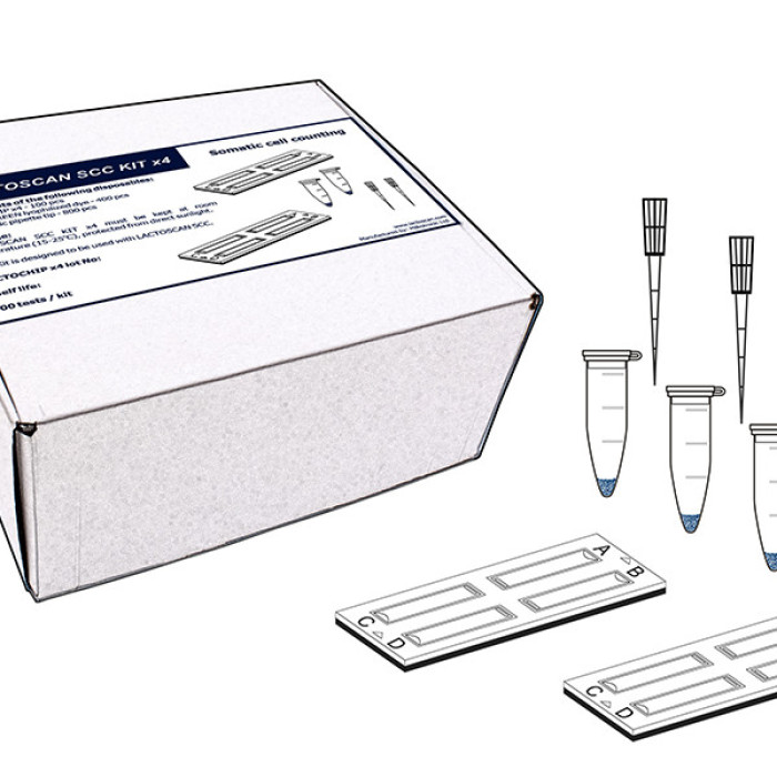 ტესტი ლაქტოსკანი SCC მოდელისთვის